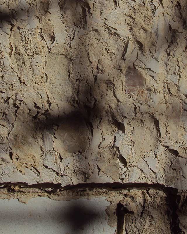 Dettaglio di Diathonite Rinzaffo